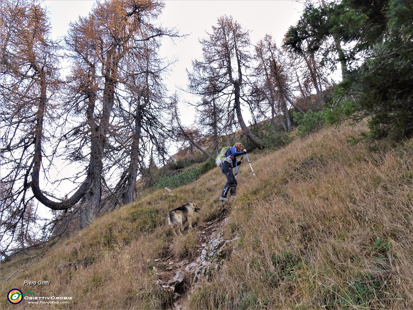 45 Evvia ultima salita ..molto.ripida per cima Pizzo Badile.JPG